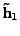 $ \textbf{\~h}_1$